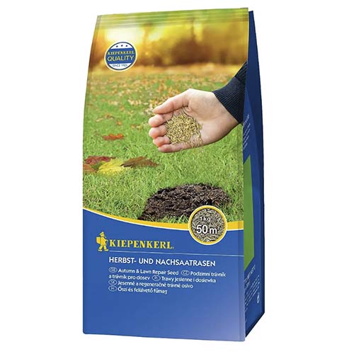 Sėklos vejos rudeniniui ir vejos persėjimui interface.image 1 interface.art 96888