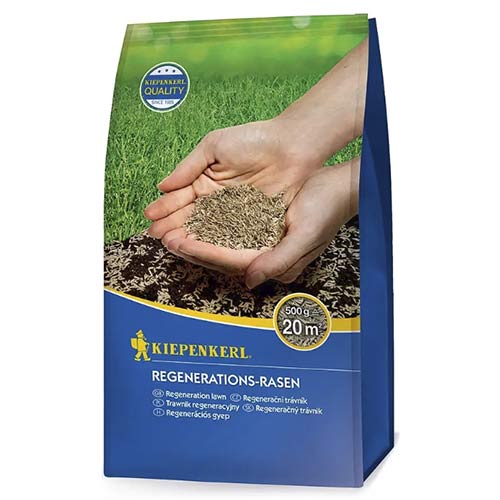 Sėklos vejos, sodo atnaujinimo žolė interface.image 1 interface.art 96891