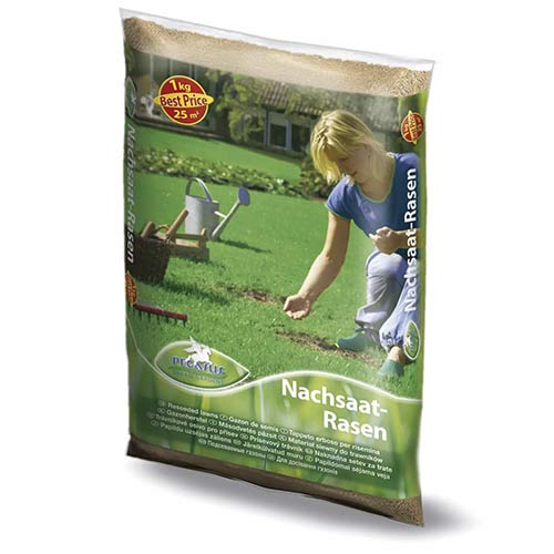 Sėklos vejos, Pegasus interface.image 1 interface.art 96895