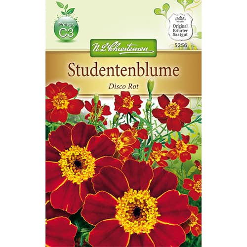 Serenčiai Disco Rot interface.image 1 interface.art 78745