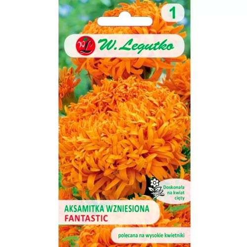 Serenčiai Fantastic , mix Legutko interface.art nuotrauka 1 Serenčiai Fantastic , mix Legutko interface.image 1 interface.art 78507