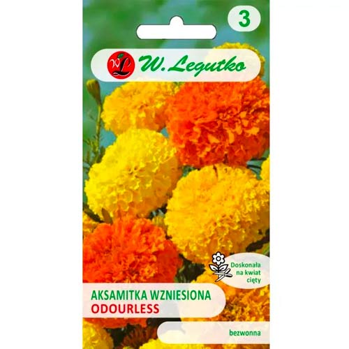 Serenčiai Hohe, mix Legutko interface.art nuotrauka 1 Serenčiai Hohe, mix Legutko interface.image 1 interface.art 50080