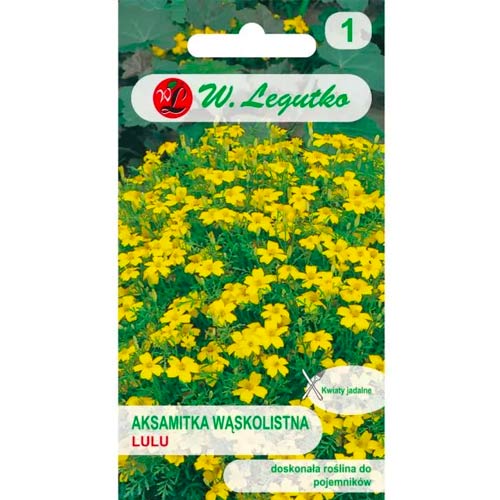 Serenčiai Lulu Legutko interface.art nuotrauka 1 Serenčiai Lulu Legutko interface.image 1 interface.art 78508