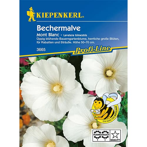 Dedešvos Mont Blanc interface.image 1 interface.art 86253