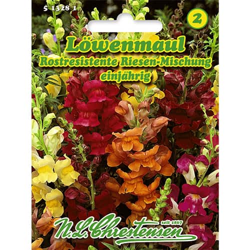 Žioveiniai aukštaūgiai, mišinys interface.image 1 interface.art 86118