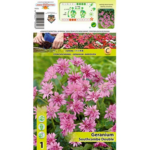 Snaputis (Geranium) Southcombe Double interface.image 1 interface.art 70391