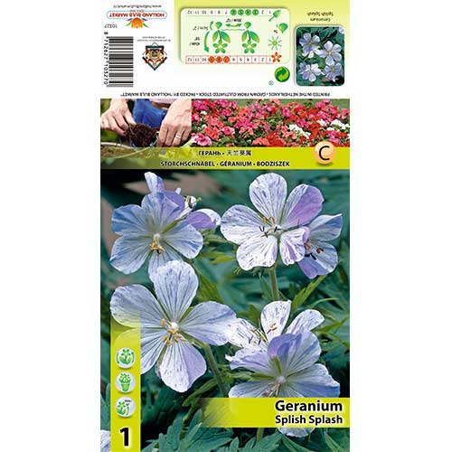 Snaputis (Geranium) Splish Splash interface.art nuotrauka 1 Snaputis (Geranium) Splish Splash interface.image 1 interface.art 70392