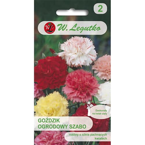 Sodo gvazdikas Szabo, mišinys interface.art nuotrauka 1 Sodo gvazdikas Szabo, mišinys interface.image 1 interface.art 69593