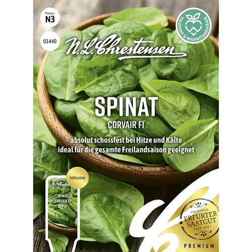 Špinatai Corvair F1 Chrestensen interface.image 1 interface.art 96497