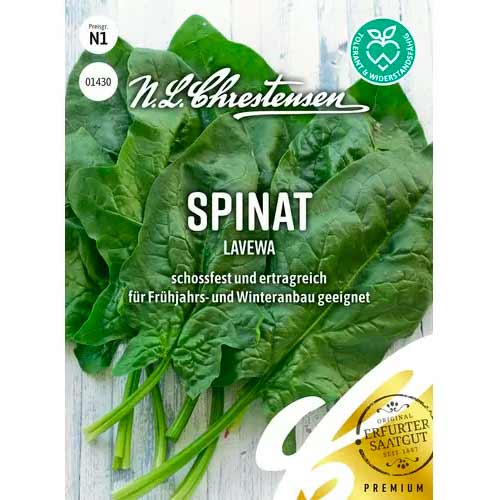 Špinatai Lavewa Chrestensen interface.image 1 interface.art 50055