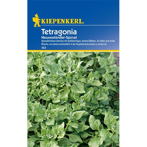 Špinatai Tetragonia interface.image 1 interface.art 77497