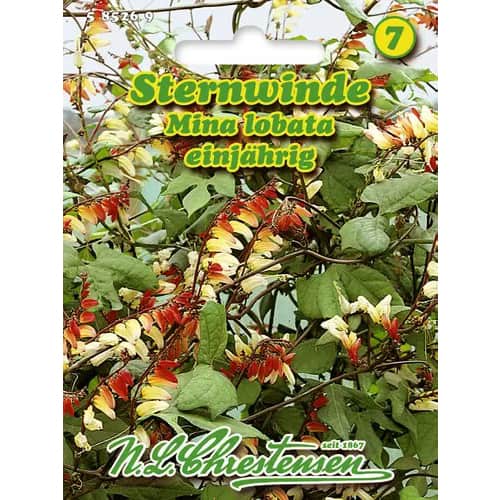 Sukučiai Mino Lobada interface.image 1 interface.art 96440