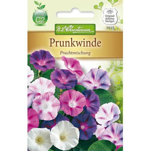 Sukutis violetinis, mix interface.image 1 interface.art 78983