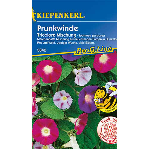 Sukutis violetinė Tricolor, mix Kiepenkerl interface.image 1 interface.art 86303