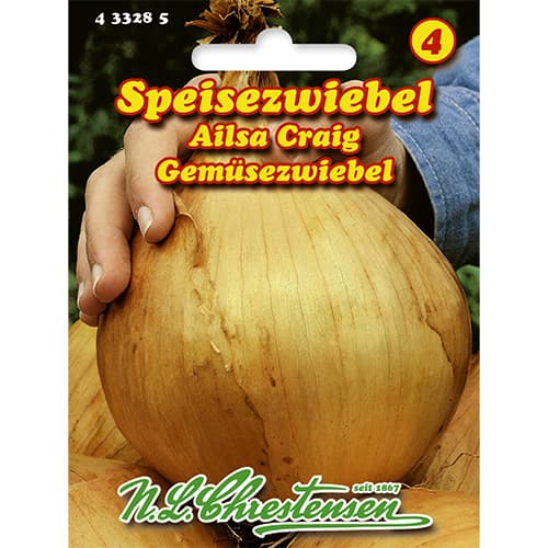 Svogūnai Ailsa Craig Chrestensen interface.art nuotrauka 1 Svogūnai Ailsa Craig Chrestensen interface.image 1 interface.art 86043