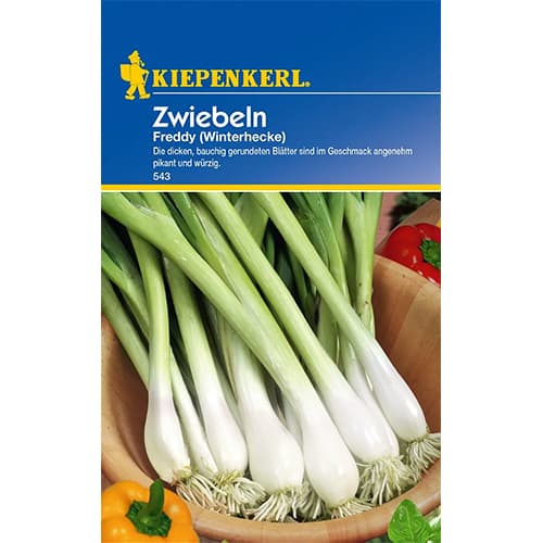 Svogūnai septynmečiai Freddy Winterhecke interface.image 1 interface.art 77460