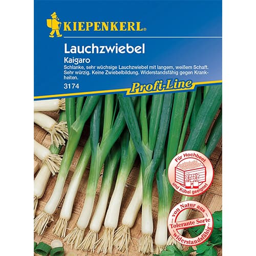 Pavasariniai svogūnai Kaigaro interface.image 1 interface.art 87283