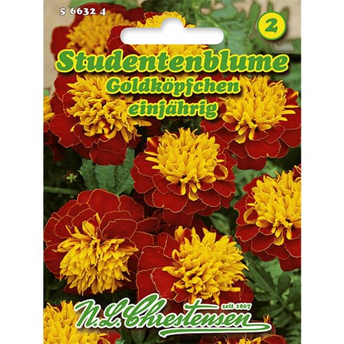 Serenčiai Goldköpfchen interface.art nuotrauka 1 Serenčiai Goldköpfchen interface.image 1 interface.art 86207