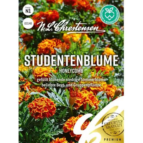 Serenčiai Honeycomb interface.image 1 interface.art 96455