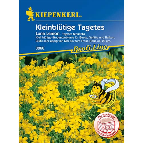 Serenčiai Luna Lemon interface.art nuotrauka 1 Serenčiai Luna Lemon interface.image 1 interface.art 86347