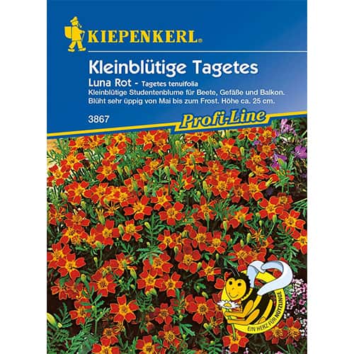 Serenčiai Luna Rot interface.art nuotrauka 1 Serenčiai Luna Rot interface.image 1 interface.art 86349