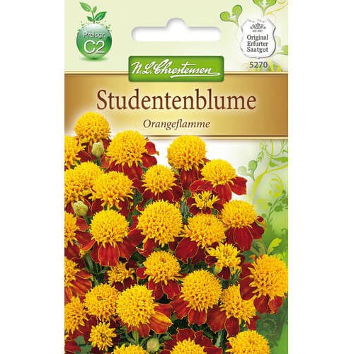 Serenčiai Orangeflamme Chrestensen interface.image 1 interface.art 78941