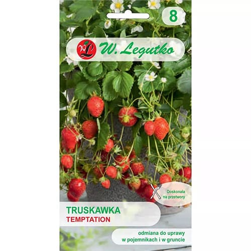 Temptation braškės interface.art nuotrauka 1 Temptation braškės interface.image 1 interface.art 69548