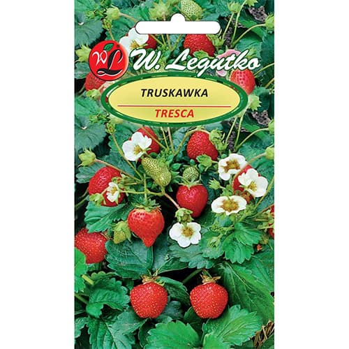 Tresca braškės interface.art nuotrauka 1 Tresca braškės interface.image 1 interface.art 86914