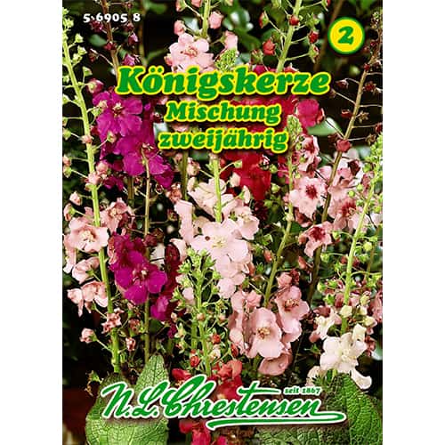 Tūbės Königskerze, mišinys interface.art nuotrauka 1 Tūbės Königskerze, mišinys interface.image 1 interface.art 87819