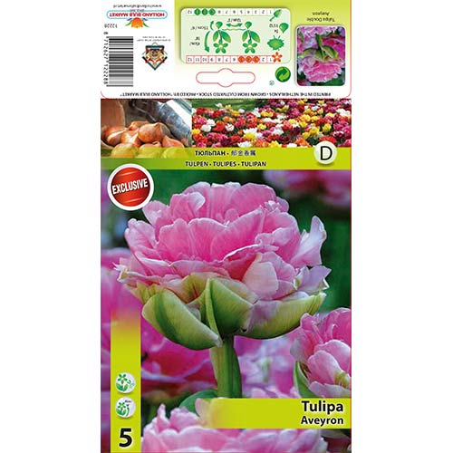 Tulpė pilnavidurė Aveyron interface.image 1 interface.art 68075