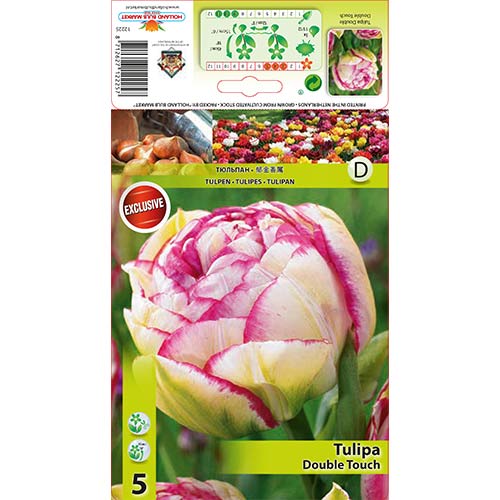 Tulpė pilnavidurė Double Touch interface.art nuotrauka 1 Tulpė pilnavidurė Double Touch interface.image 1 interface.art 67458