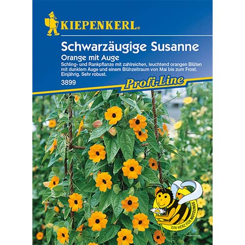 Tunbergijos sparnuotosios Orange mit Auge interface.image 1 interface.art 86311