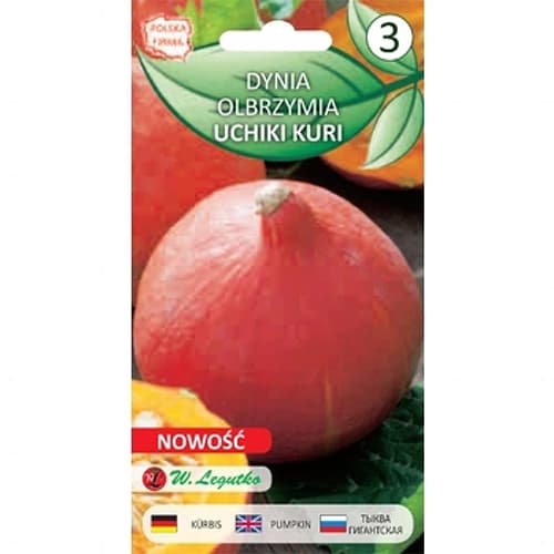 Uchiki Kuri, Hokkaido raudonai apelsininis interface.art nuotrauka 1 Uchiki Kuri, Hokkaido raudonai apelsininis interface.image 1 interface.art 78455