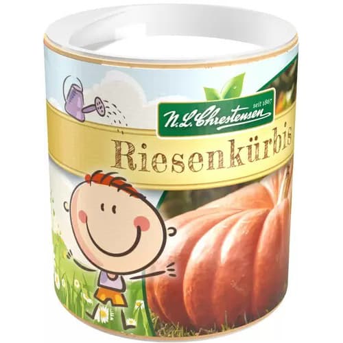 Vaikiškos sėklos, Moliūgai interface.art nuotrauka 1 Vaikiškos sėklos, Moliūgai interface.image 1 interface.art 87837