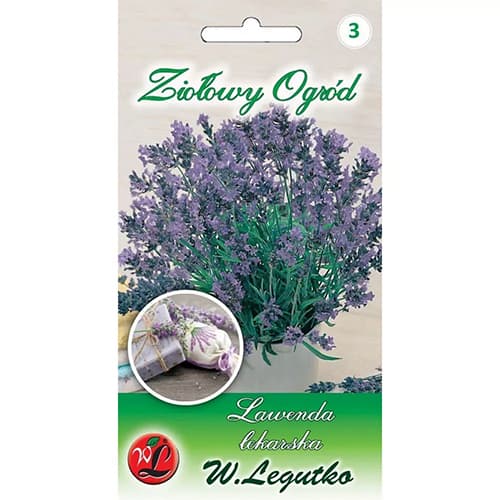 Vaistinės levandos interface.image 1 interface.art 69675