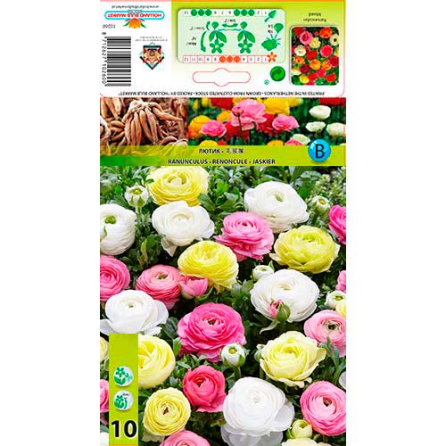 Vėdrynas Pastell, mišinys interface.image 1 interface.art 76356