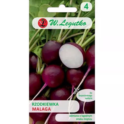 Violetiniai ridikėliai Malaga interface.image 1 interface.art 86896