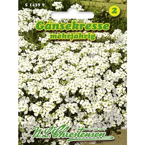 Kaukaziniai vaistučiai interface.image 1 interface.art 96402