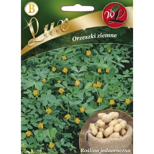 Žemės riešutai Legutko interface.image 1 interface.art 78667