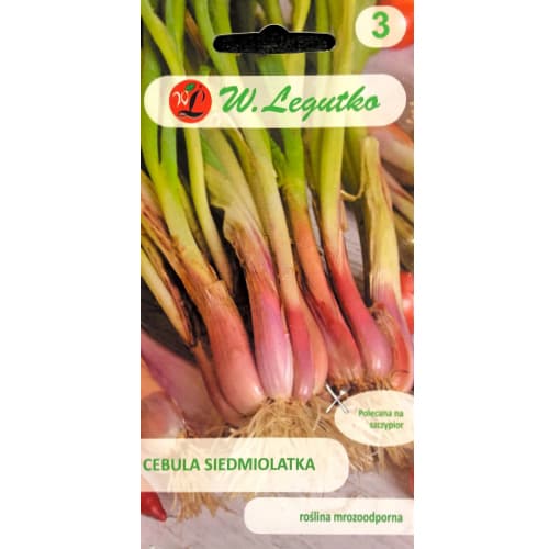 Žieminis svogūnasWinter Nest interface.image 1 interface.art 78451