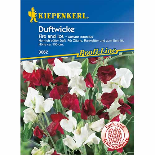 Kvapieji pelėžirniai Fire and Ice interface.image 1 interface.art 96530