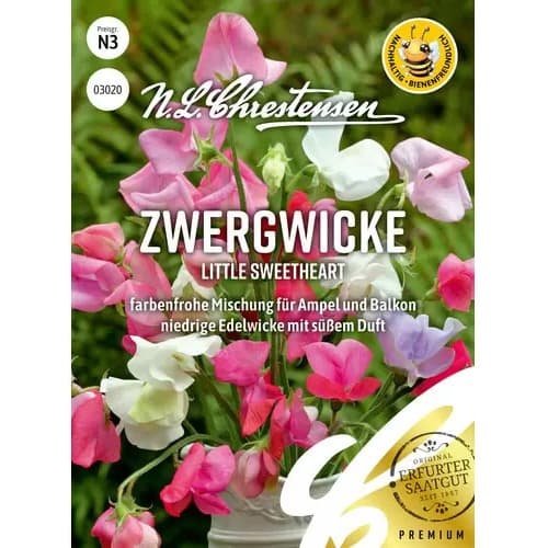 Kvapieji pelėžirniai Little Sweetheart interface.image 1 interface.art 87352