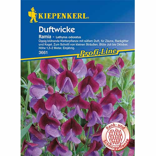 Kvapieji pelėžirniai Ramia interface.art nuotrauka 1 Kvapieji pelėžirniai Ramia interface.image 1 interface.art 96531