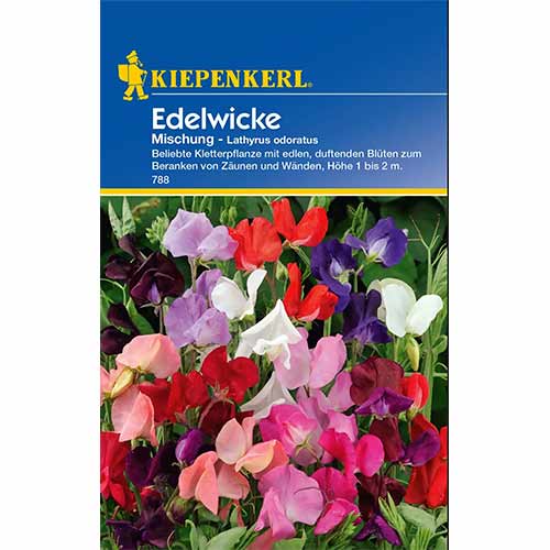 Žirniai saldūs Unicorn, mix Kiepenkerl interface.image 1 interface.art 96532