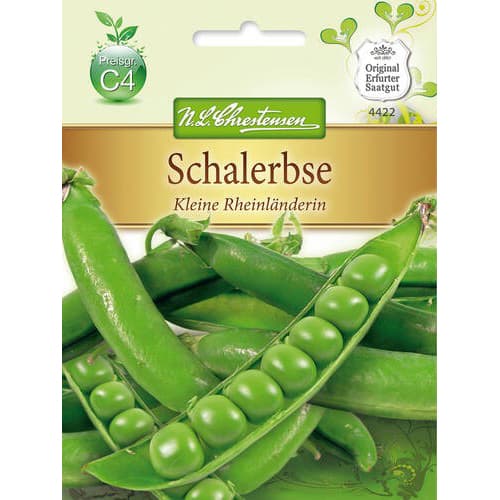 Žirneliai Kleine Rheinlanderin interface.image 1 interface.art 78842