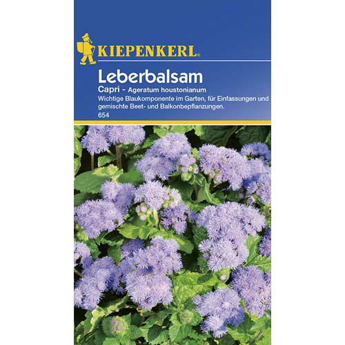 Žydrūnis meksikiečių Capri Kiepenkerl interface.art nuotrauka 1 Žydrūnis meksikiečių Capri Kiepenkerl interface.image 1 interface.art 77393