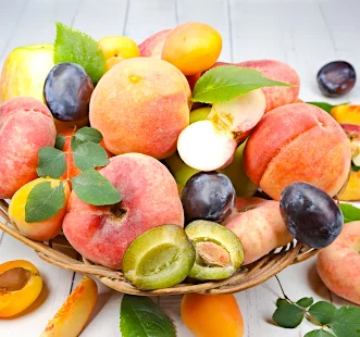 Koloniniai vaismedžiai