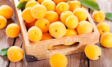 Medaus skonio | GradinaMax