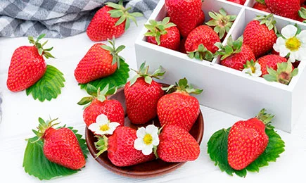 Neįprastas desertas | GradinaMax