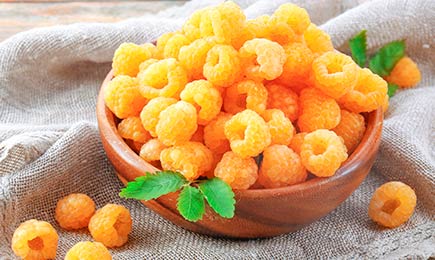 Veľká úroda | GradinaMax